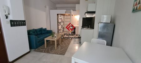 Location Appartement 1 pièce 24m² GRENOBLE 38000 - Photo 2