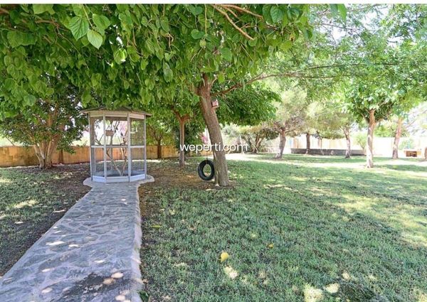 Luxury Villa in Elche, for rent