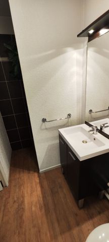 Location Appartement 1 pièce 19m² - Photo 3