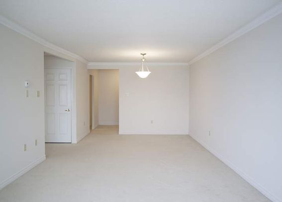 Country Hill Place - Photo 1