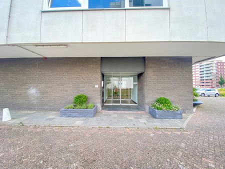Studio Rotterdam - Oostmaaslaan - Photo 2