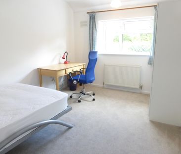 North Park Avenue, Norwich - Photo 5