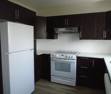 6 ½ rue Notre Dame Laval 5 électros Inclus LIBRE - Photo 2