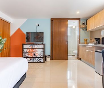 VH I Polanco Suite c/Gym 7 - Photo 3