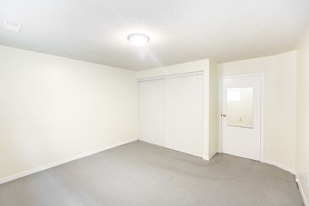 Newly Renovated Basement with 1 Bedroom For Rent - Photo 4
