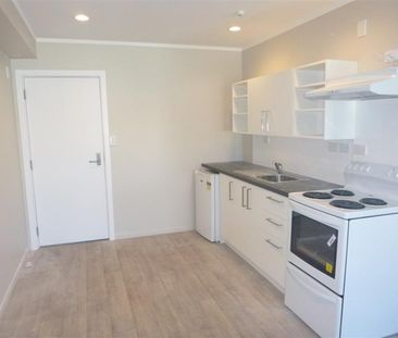 CENTRAL PETONE STUDIO APARTMENT - Photo 3