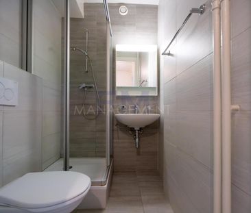 Eaux-Vives - Rue Zurlinden - 2 pièces au 3ème étage, env 35m2 - Photo 6