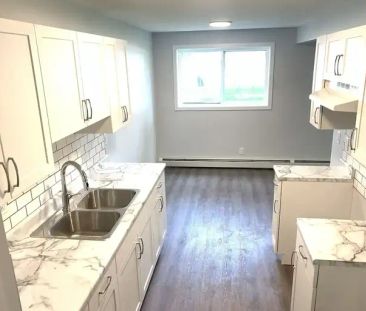 Unit # 102 - Brand NEW, Fully Renovated, Beautiful 1 Bedroom Apartm... - Photo 1