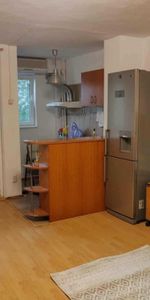 Iancului elev stefanescu etaj 1 - Fotografie 4