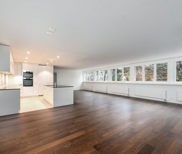 Einzigartige Wohnung am Zürichberg - Photo 1