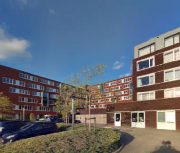 Appartement Frittemaleane, Sneek - Stadsfenne - À louer - Foto 4