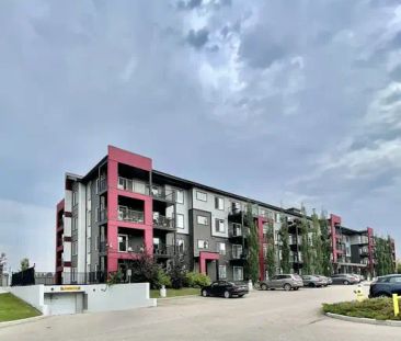 #432 - Elements at Willowhaven | 432 - 5515 7 Ave SW, Edmonton - Photo 1