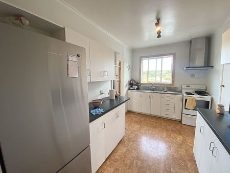 12 Norman Rd, Titirangi - Photo 5