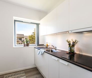 Velkommen til Sofienlund! - Foto 4