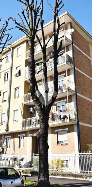 Bilocale in affitto - Photo 1