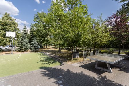 Poznań, Poznań-Grunwald - Zdjęcie 5