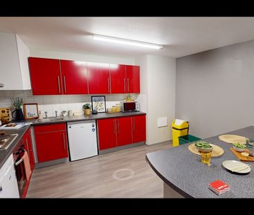 Room in a Shared Flat, Crow Lane, BS1 - Photo 6