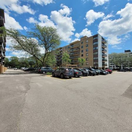 Renovated, Pet-Friendly Units (Parkwoods Village) - Photo 3