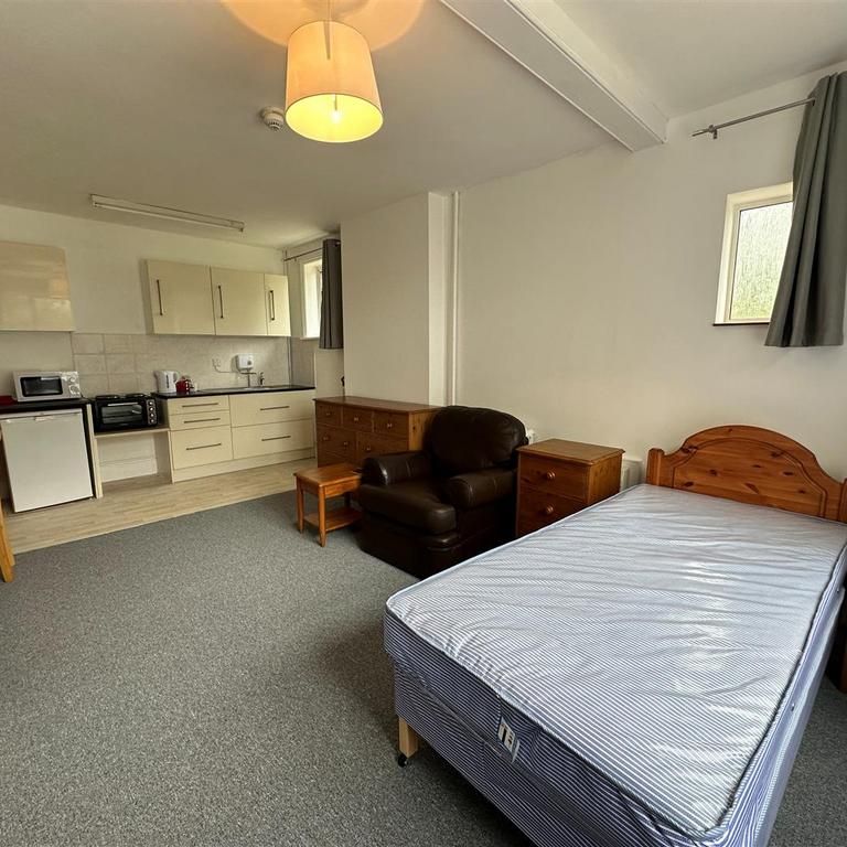 1 bedroom in a house share to rent - Photo 1