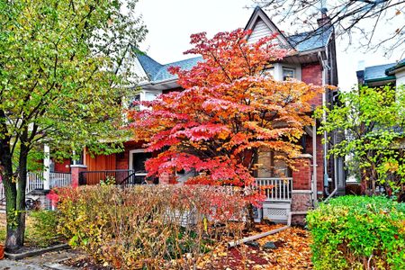 For Lease - 821 Shaw Street Unit# Bsmt, Toronto, Ontario - Photo 3