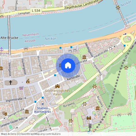 Hauptstraße 220, 69117 Heidelberg