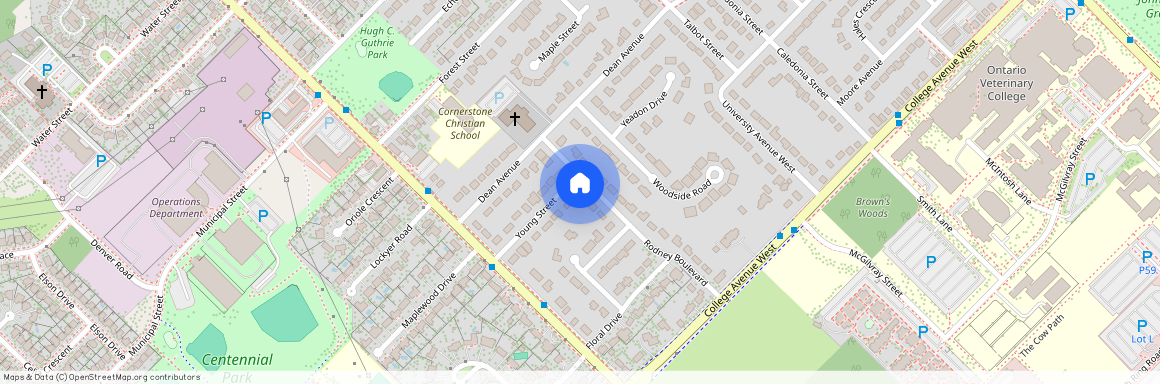 65 Rodney Boulevard, Guelph, ON, Canada