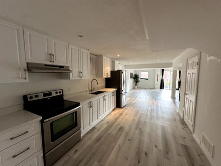 For Lease - 196 Colesbrook Road Unit# basement, Richmond Hill, Ontario - Photo 5