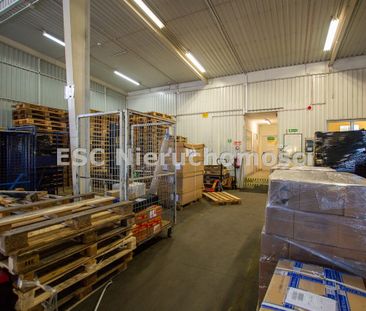 Piła, Zamość - Фото 6