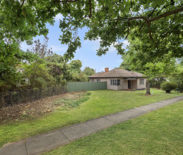 Charming 3-Bedroom Home in Prime Ainslie Location - Photo 4