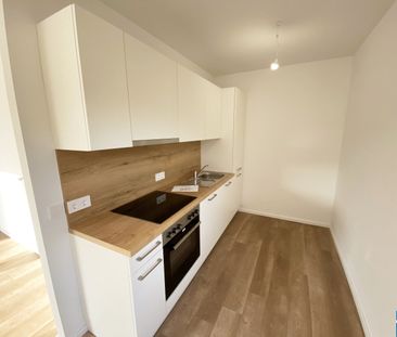 Wohnen ohne Kompromisse: Moderne Mietwohnungen im Herzen des Tullne... - Foto 3