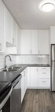 Pet-Friendly Suites with Open-Concept Kitchens (Albert St) - Photo 1