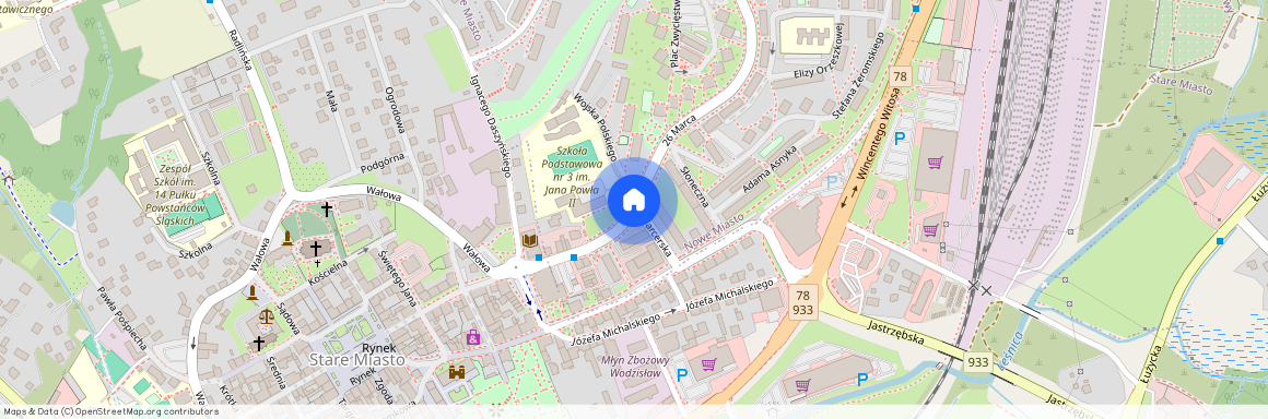 Wodzisław Śląski, wodzisławski, śląskie