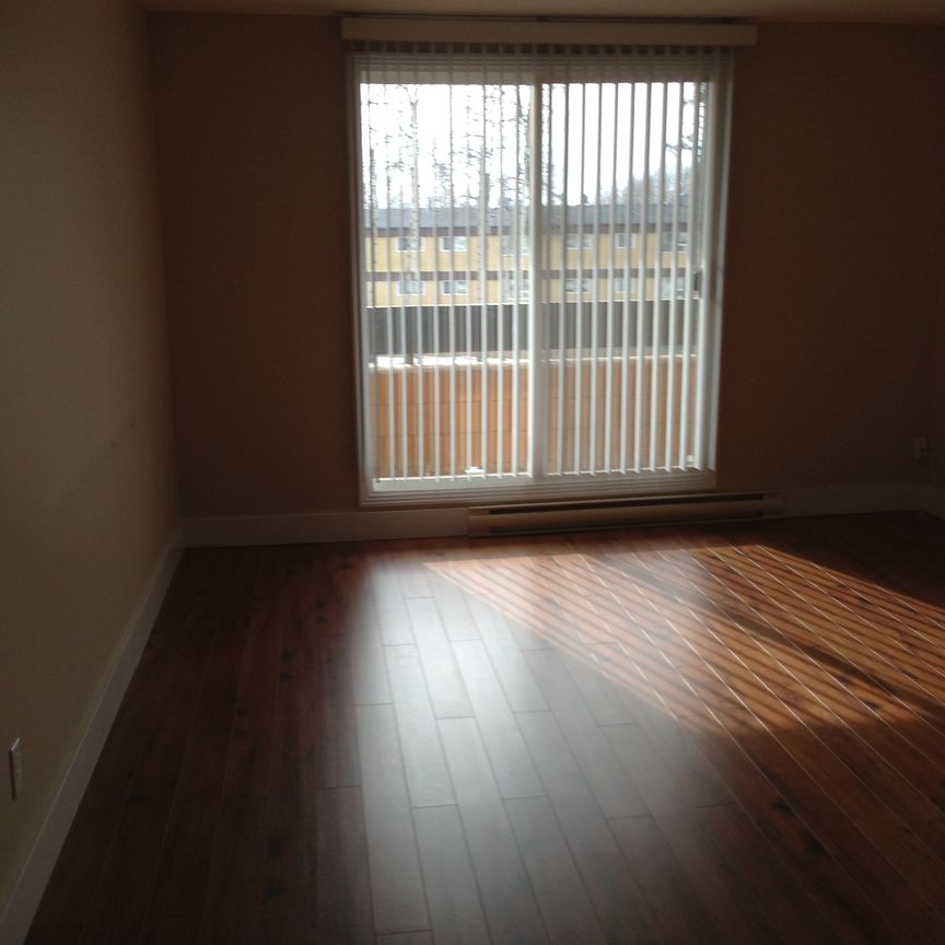 364 & 424 Princeton Drive, Manitoba, R8N 0A2, Thompson - Photo 1