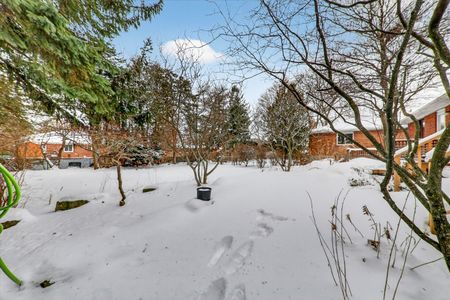 For Lease - 40 Brinloor Boulevard Unit# Main, Toronto, Ontario - Photo 4