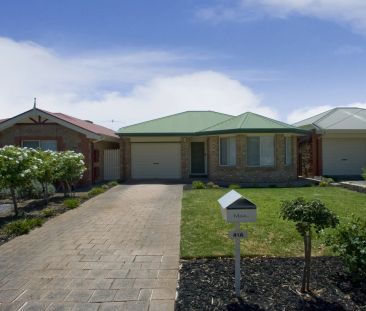 Professional & Straightforward - Photo 5