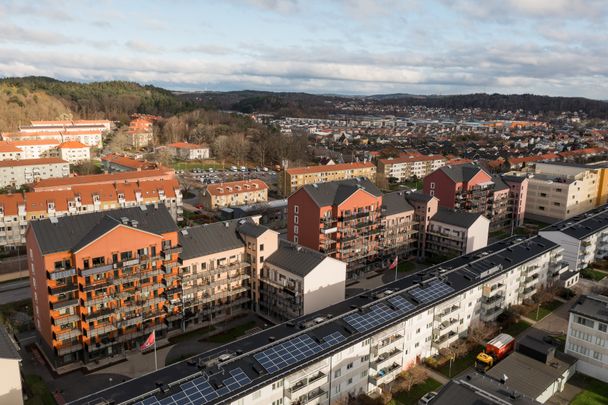 Fyrklöversgatan 15 C - Foto 1