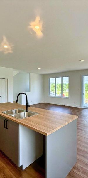 3½ et 5½ NEUFS à louer à Ste-Perpétue - Photo 1