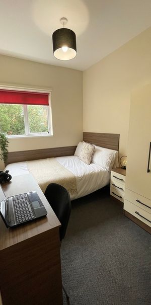 100 Carholme Road - Photo 1