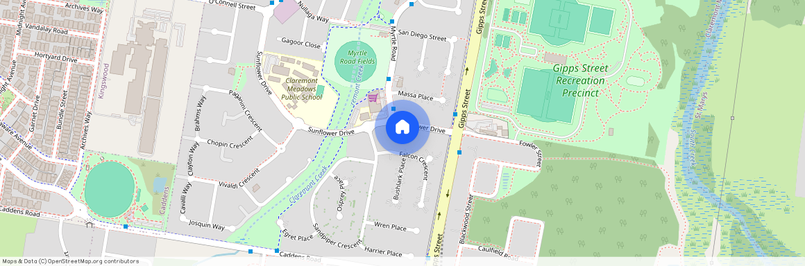 163A Sunflower Drive, Claremont Meadows, NSW 2747