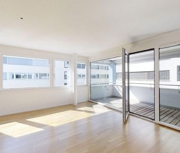 An attractive habitat - Photo 2