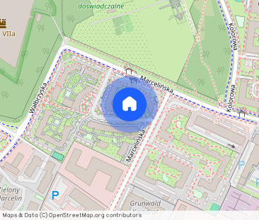 Marcelińska I 2 pok I pow. 55 m2 I Balkon - Photo 1