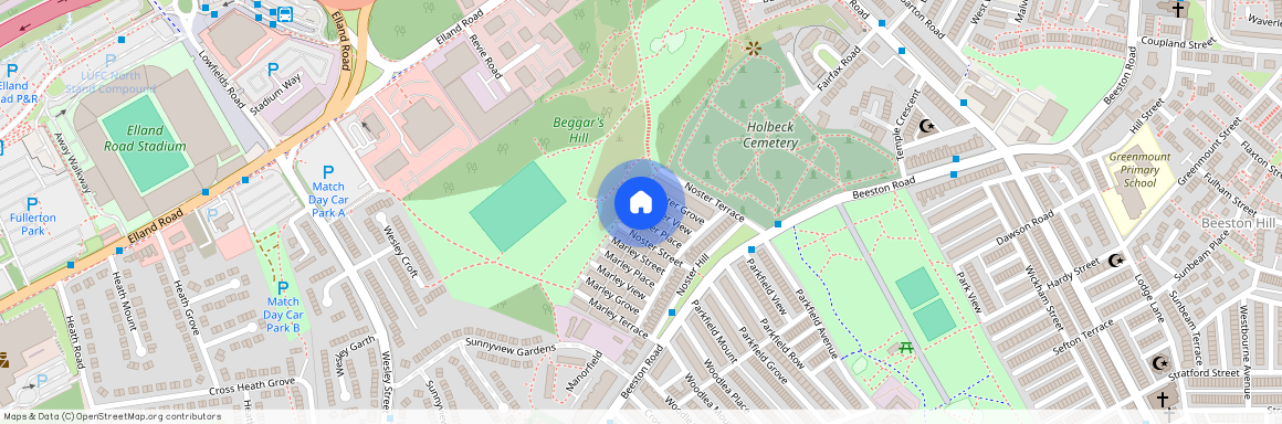 22, Noster Place, Beeston, Leeds, West Yorkshire, LS11 8QH