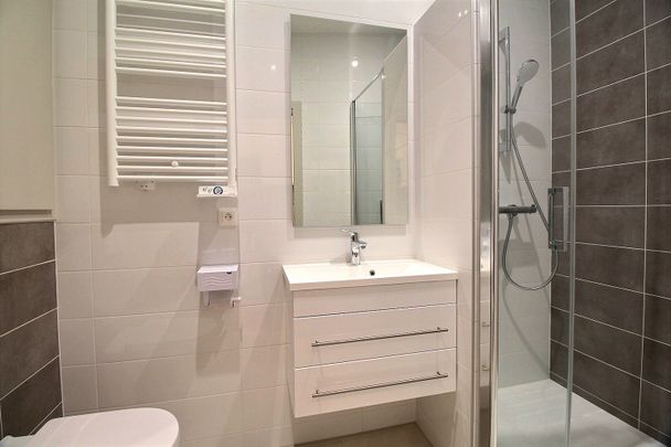 Location Appartement 1 pièce 28m² BARR 67140 - Photo 1