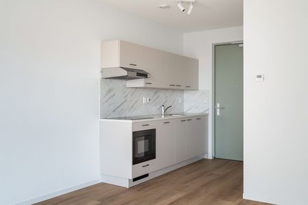 Lise Meitnerhof 223, Leiden - Foto 4