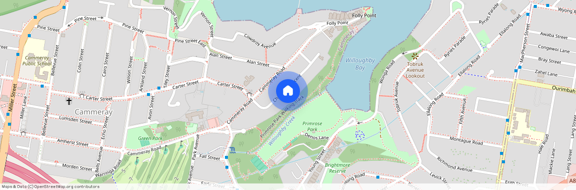 21 Churchill Crs, NSW 2062, Cammeray