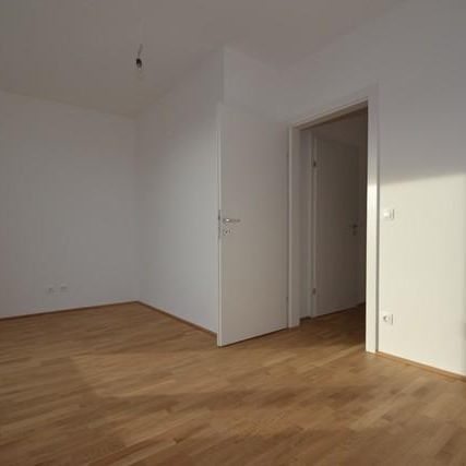 Annenviertel – 40 m² – 2 Zimmer – Penthousecharakter – mit herrlicher Dachterrasse - Photo 1