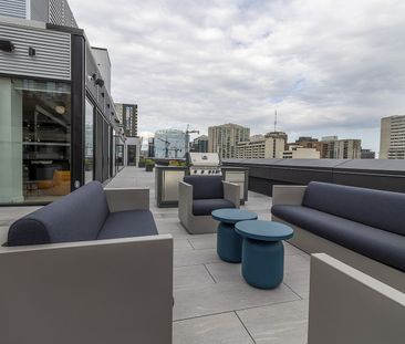 473 Albert Street, Ottawa, ON - Photo 5