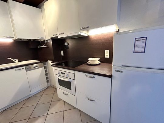 Location Appartement 2 pièces 23m² VIUZ EN SALLAZ 74250 - Photo 1