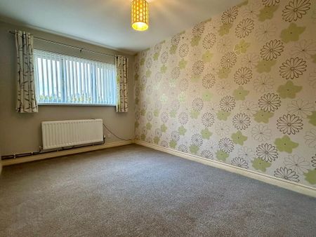 5 Hillside View, Newtownabbey, BT36 6DE - Photo 4