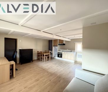 Location Appartement 1 pièce 28m² GEISPOLSHEIM 67118 - Photo 1